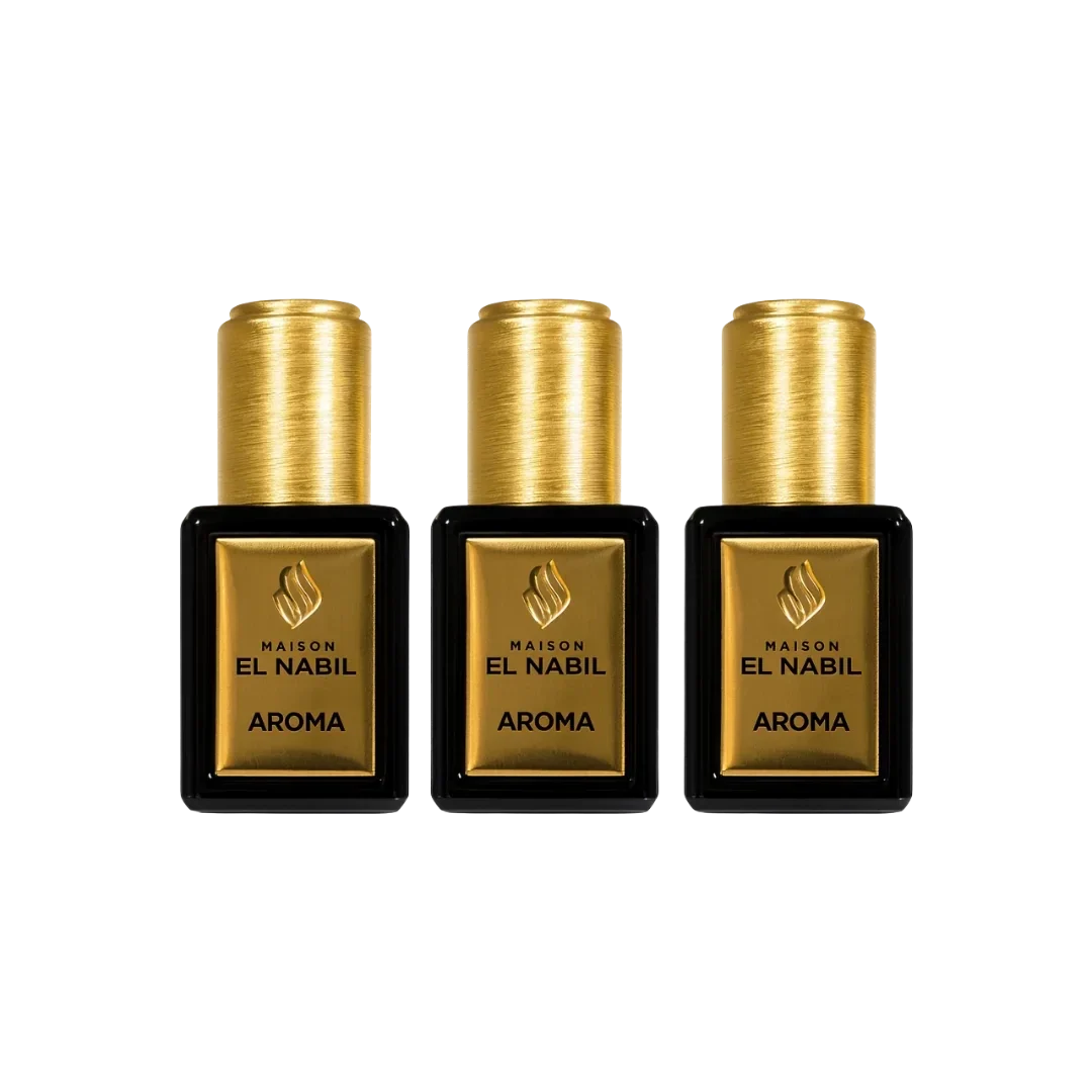 Musc Aroma (x12) - El Nabil 5ml